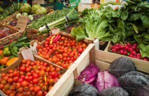 Horticulture Industry