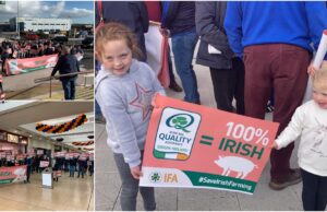 IFA Pig Protest