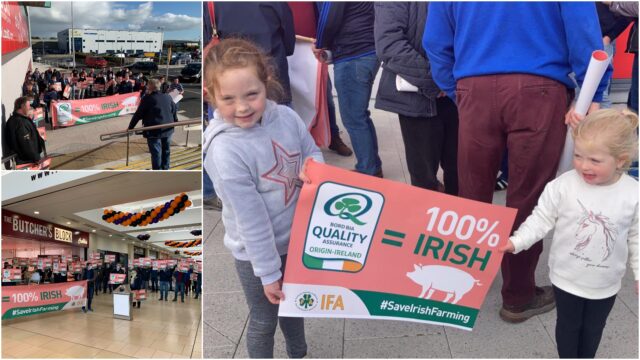 IFA Pig Protest