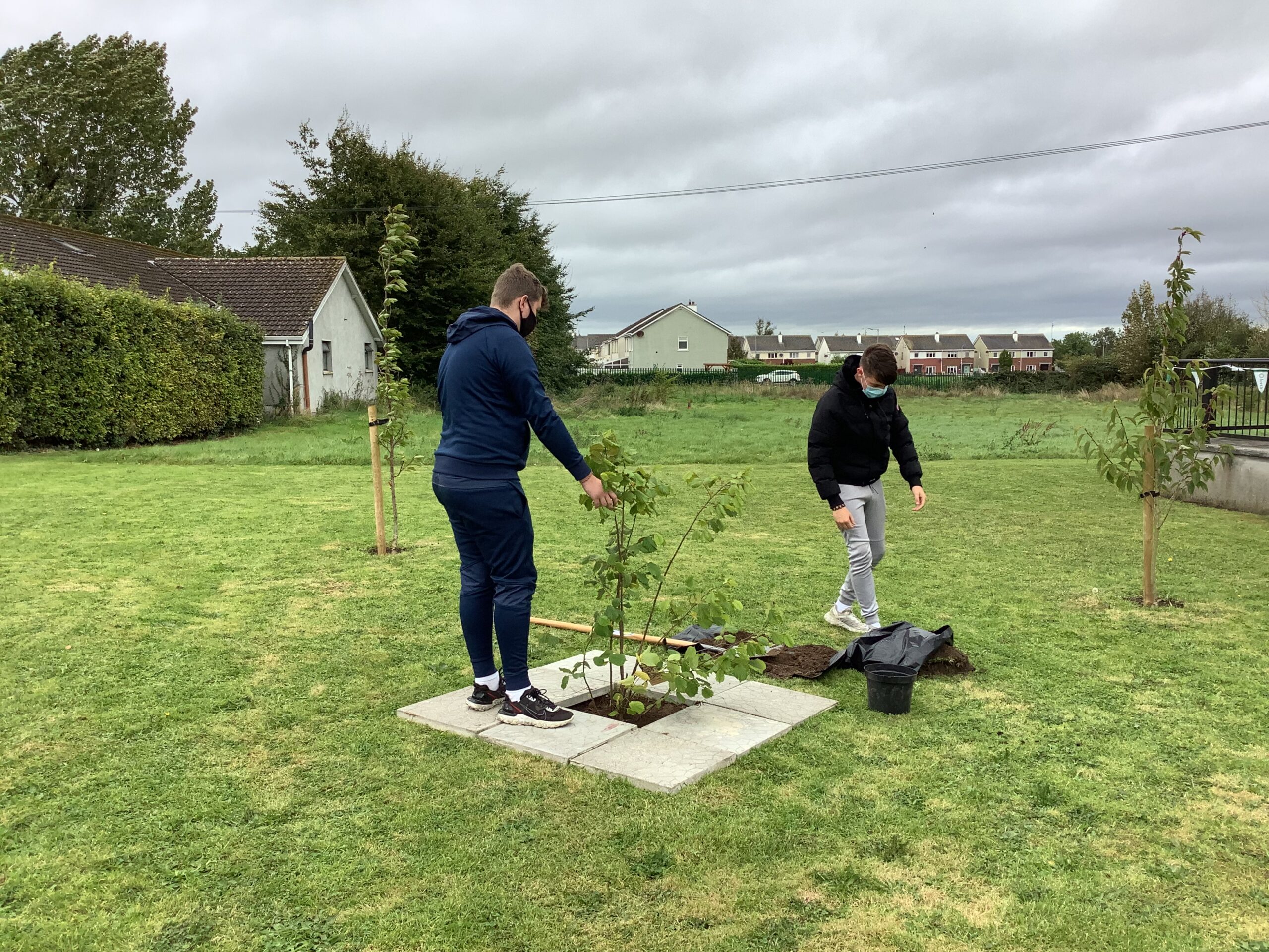 Jim Cash and Ned Cash planting the Hazel tree