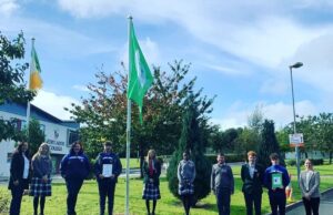 Portlaoise College Green Schools