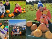 Pumpkin Patch Main