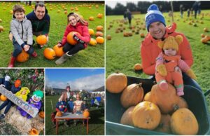 Pumpkin Patch Main