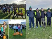 Pumpkin Patch