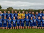 Sarsfields