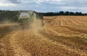 Straw Incorporation Scheme