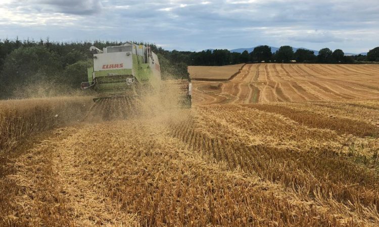 Straw Incorporation, TAMS and Farm Safety measures welcomed by Laois-based chairman of Irish Grain Growers group