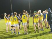 Abbeyleix U-20 hurlers