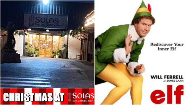 Christmas at Solas