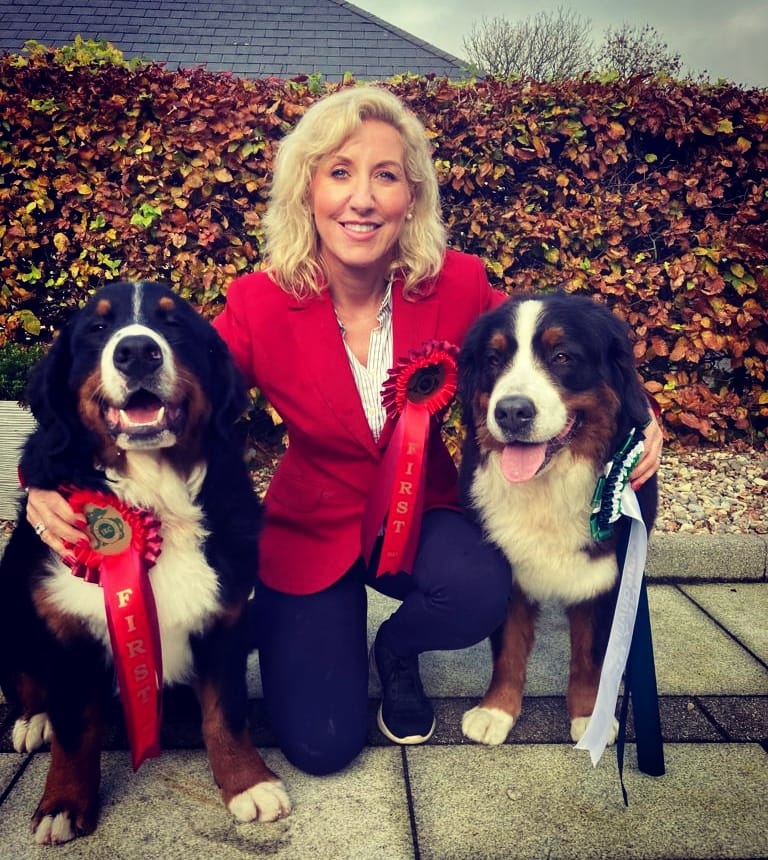 Fiona Stafford Byrne Bernese Mountain Dogs