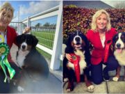 Fiona Stafford Byrne Bernese Mountain Dogs