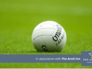 Laois Junior 'A' final