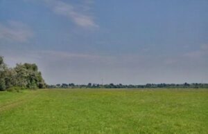 Land wanted