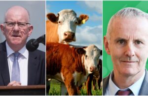 Charlie Flanagan, cows, Ciaran Cuffe