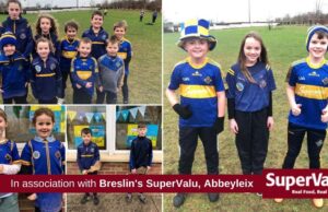 Clough-Ballacolla schools