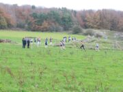 Cross Country Championships