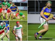 Hurling Team of the Year