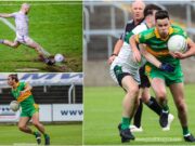 Laois Intermediate Football Team of the Year