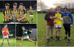 Minor hurling team of the year