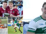 Premier Intermediate Hurling Team of the Year