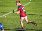 Rioghan Murphy Portarlington