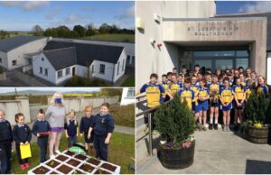 Ballyadams National School