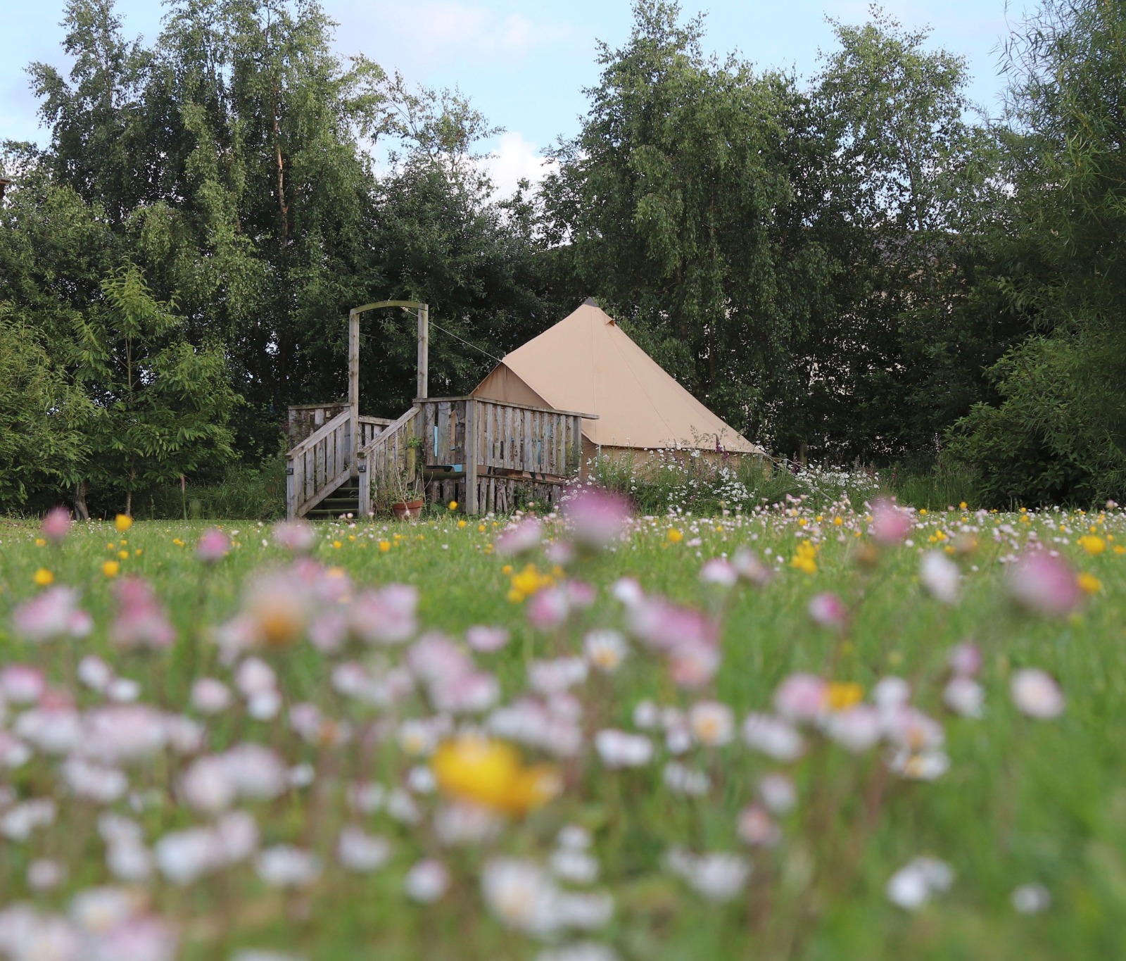 Glamping Under the Stars 