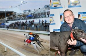 Karol Ramsbottom Shelbourne Park