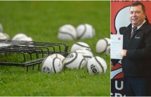 Martin Walsh laois camogie