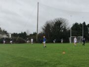 Laois hurlers