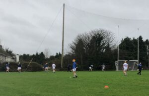 Laois hurlers