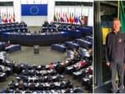 Luke Carroll European Parliament