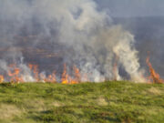 Bush burning farmers