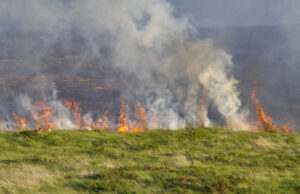 Bush burning farmers