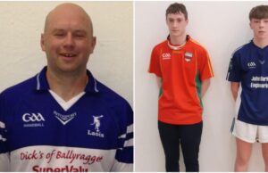 Laois Handball
