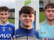 Laois U-20 Hurlers (2)
