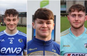 Laois U-20 Hurlers (2)