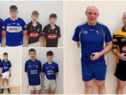Laois handball main