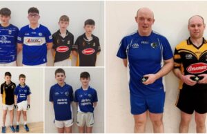 Laois handball main