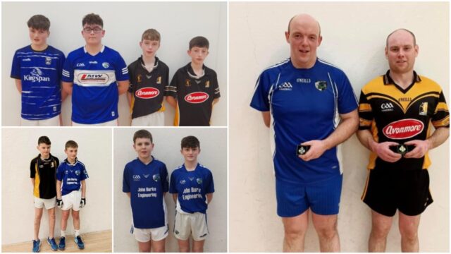 Laois handball main