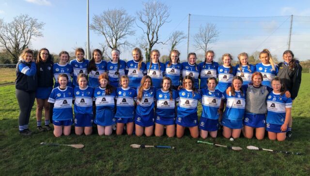 Laois minor camogie team 2022