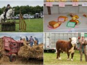 Ossory Show