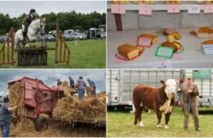 Ossory Show