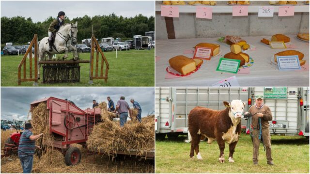 Ossory Show