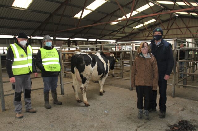 Pat Nevin, Hooves4Hospice; Mr Michael Harty, Manager Birr Mart; Ruth Talbot and her dad Robin Talbot