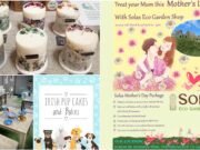 Solas Eco Garden Centre