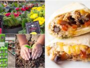 Solas Eco Garden Centre A