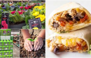 Solas Eco Garden Centre A