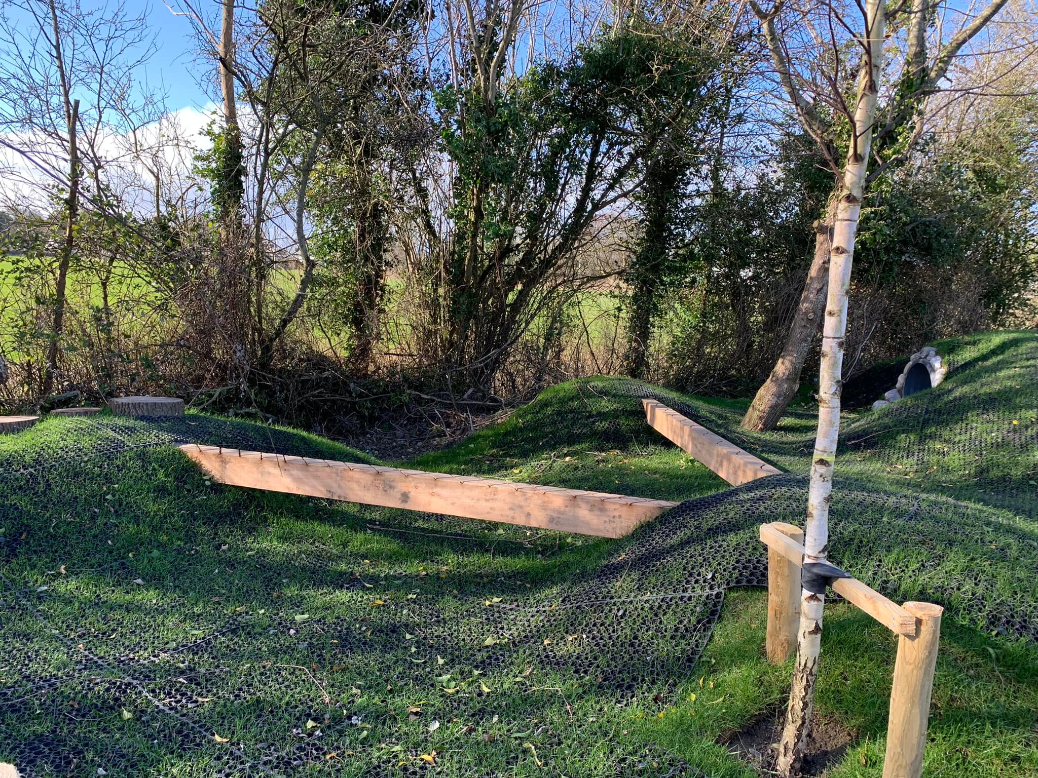 Vicarstown playground