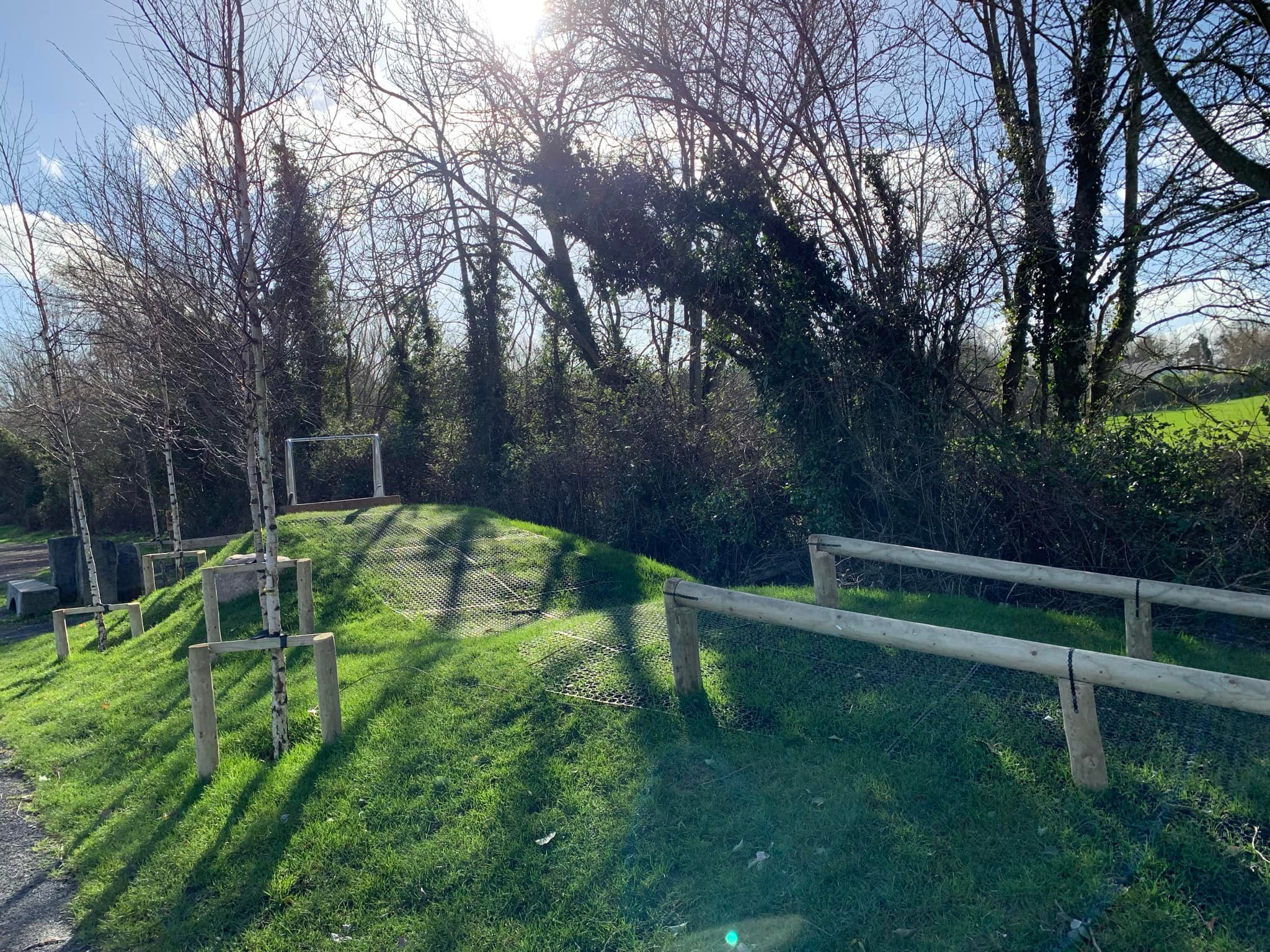 Vicarstown playground